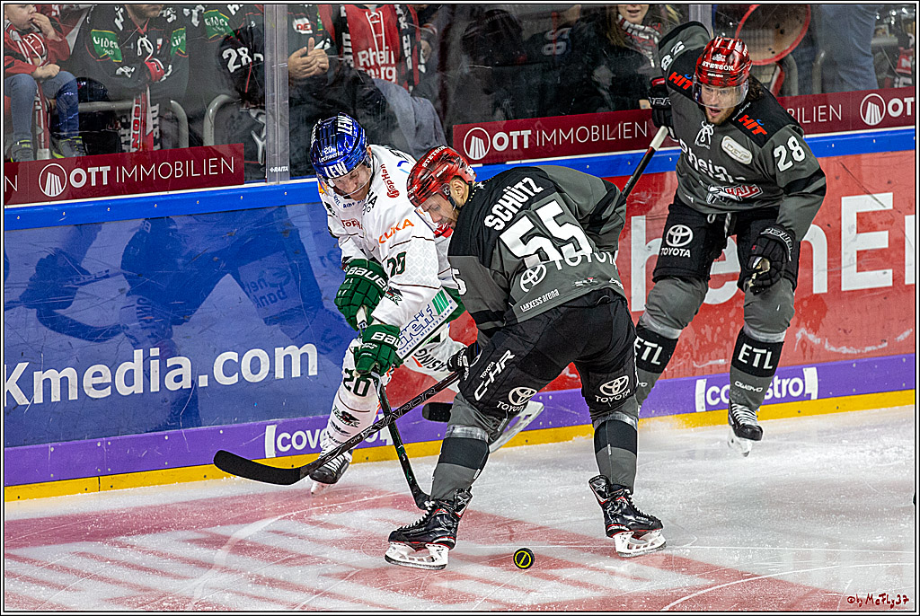 DEL; Koelner Haie - Augsburger Panther, 14.11.2018